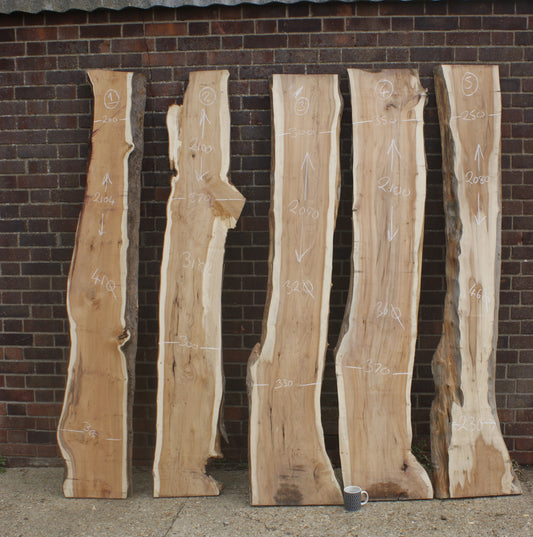 2 meter+-  31-46mm thick English Yew    (787-791)
