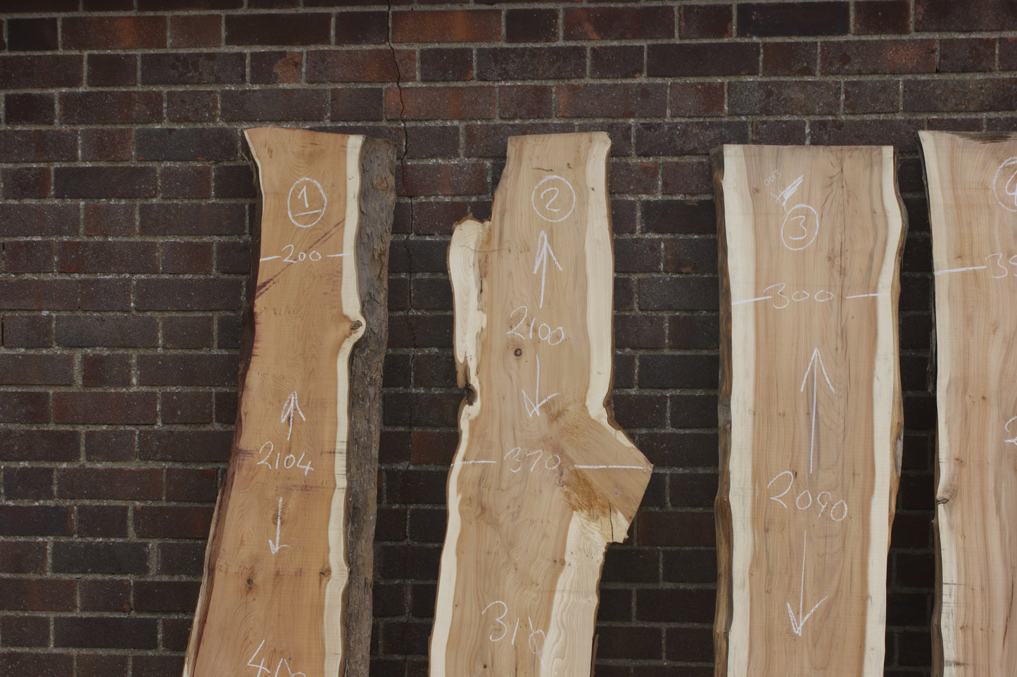 2 meter+-  31-46mm thick English Yew    (787-791)