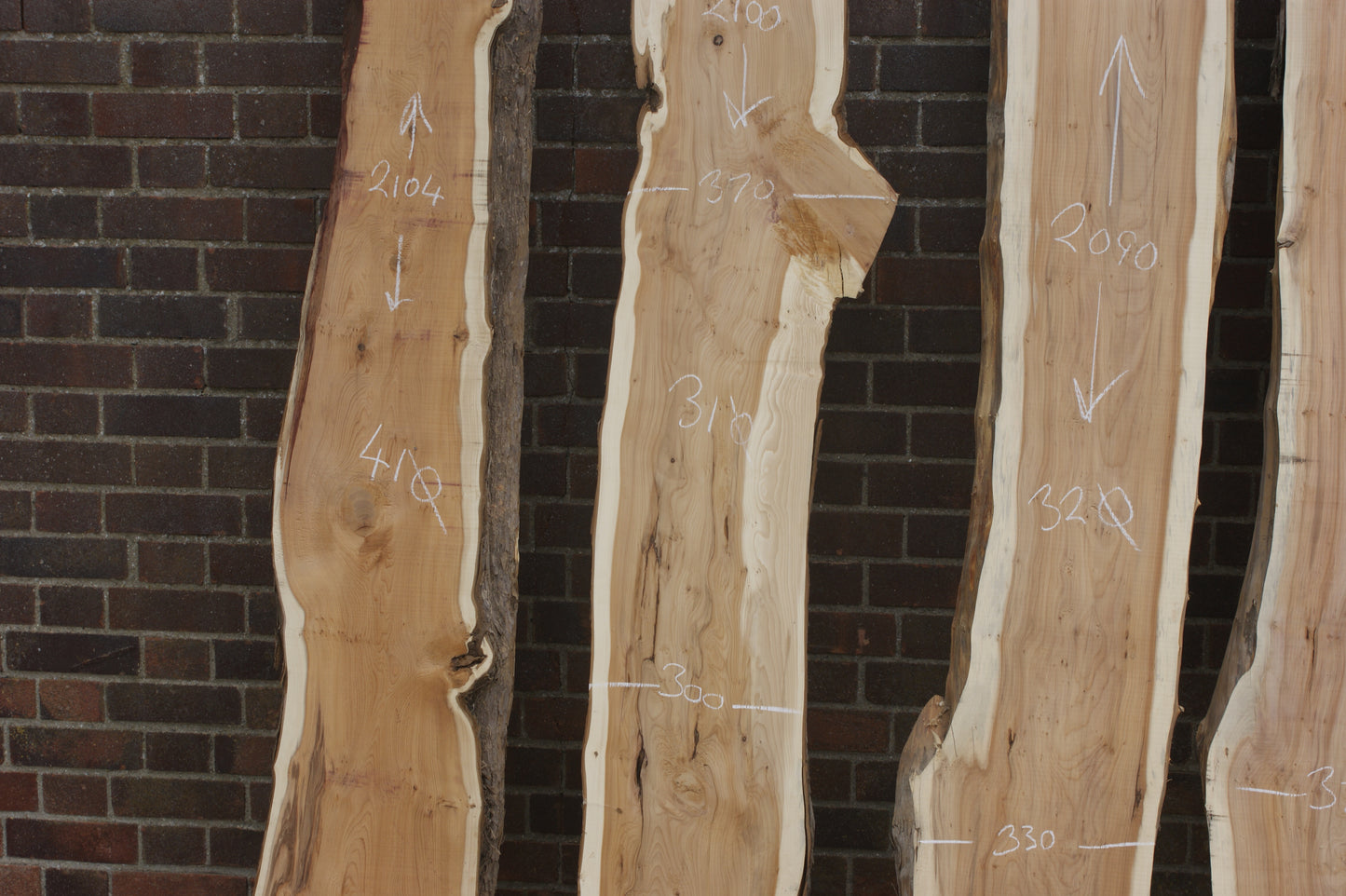 2 meter+-  31-46mm thick English Yew    (787-791)