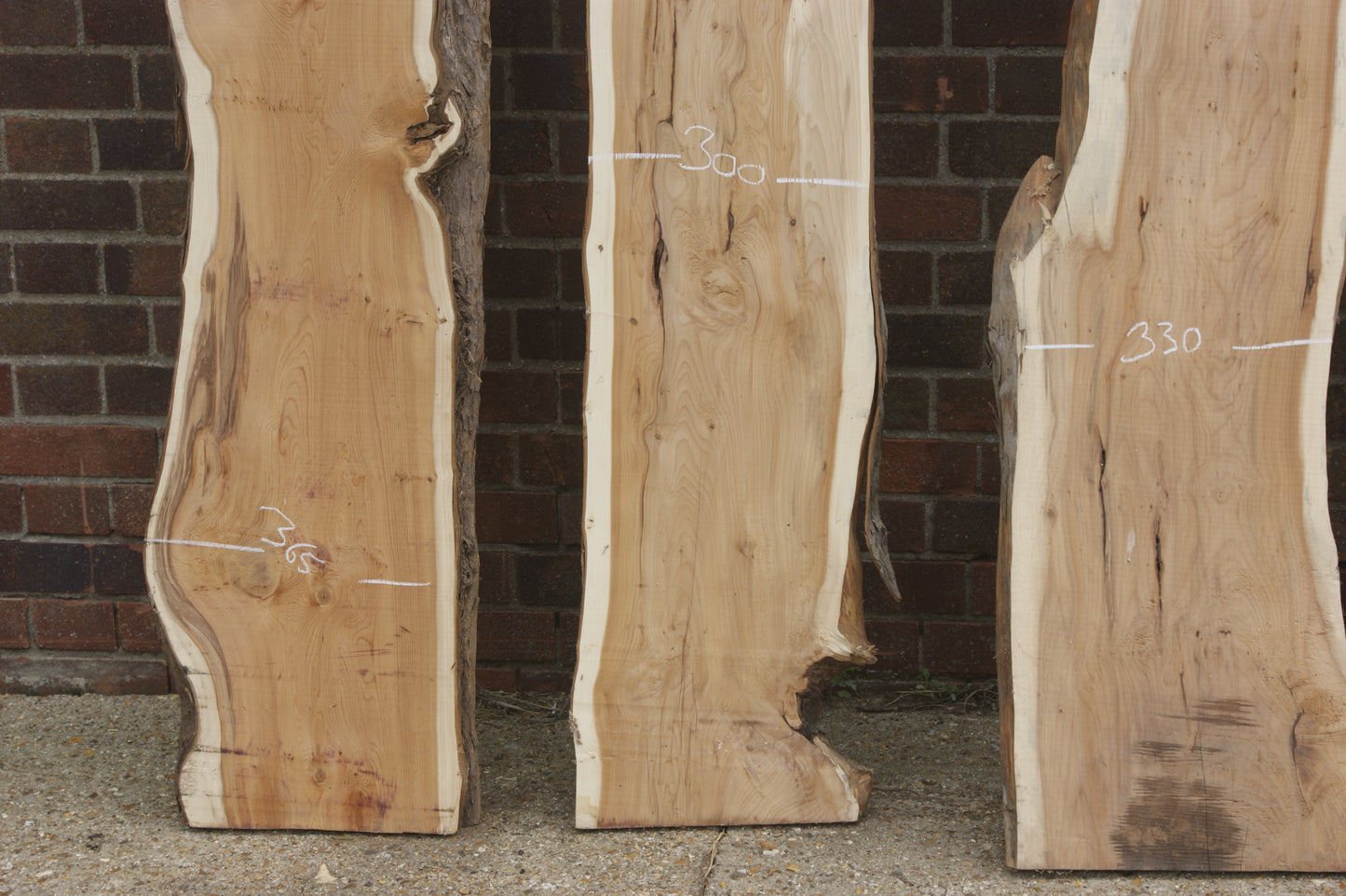 2 meter+-  31-46mm thick English Yew    (787-791)