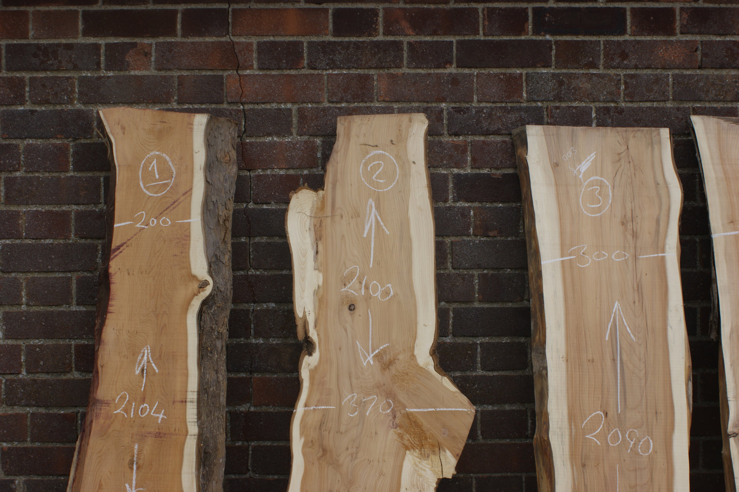2 meter+-  31-46mm thick English Yew    (787-791)