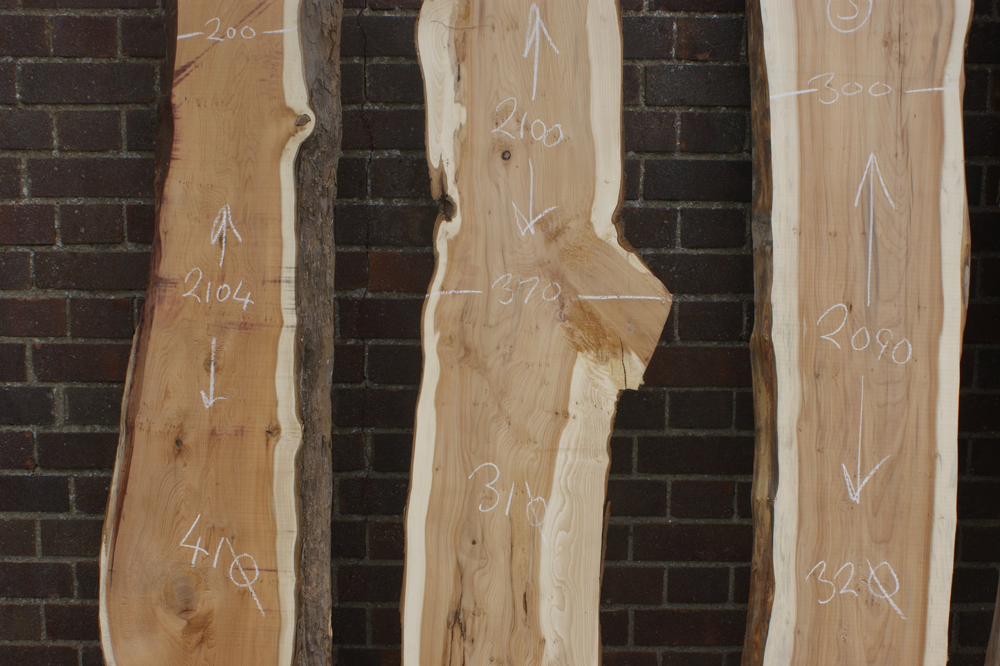 2 meter+-  31-46mm thick English Yew    (787-791)