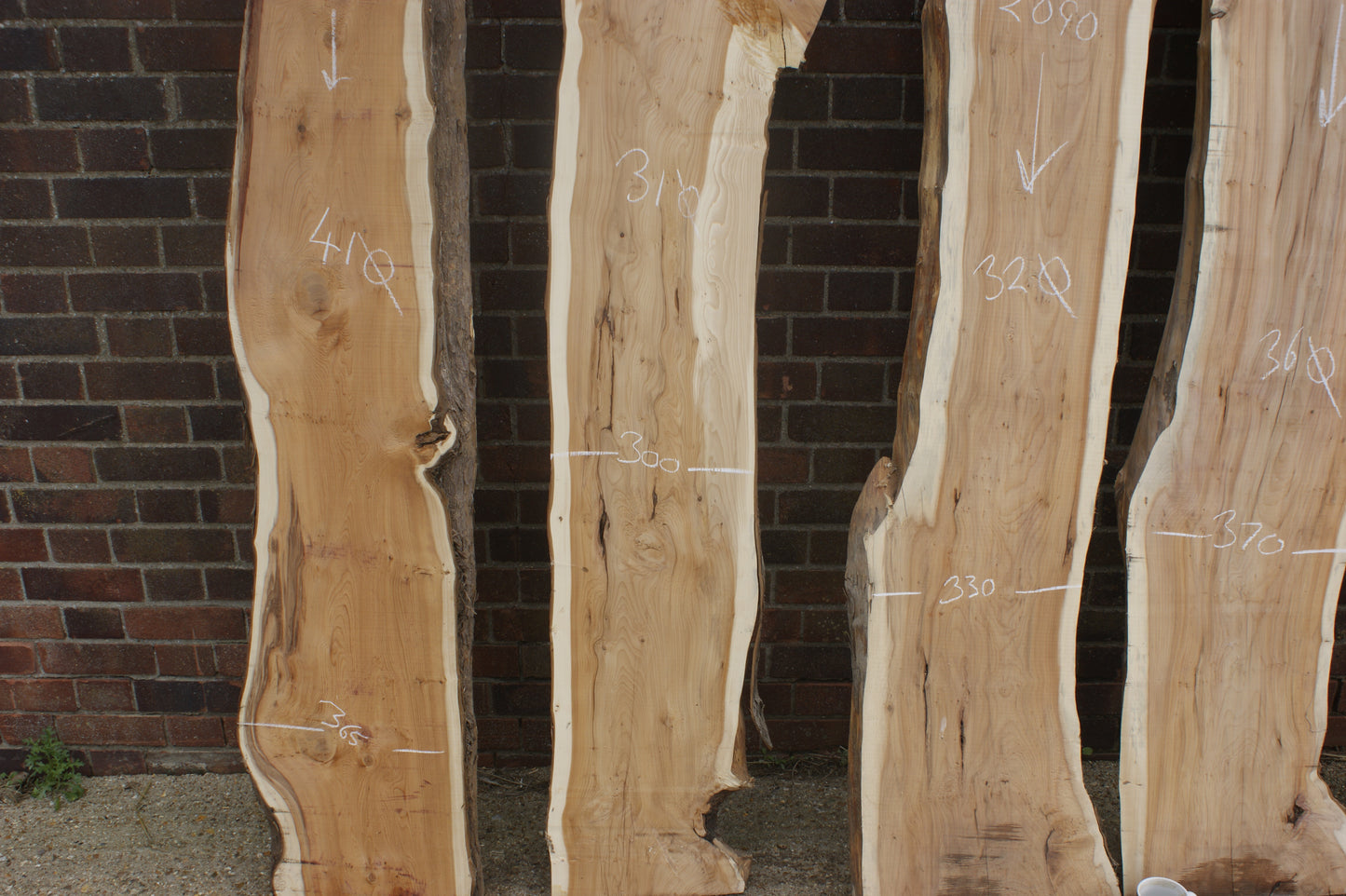 2 meter+-  31-46mm thick English Yew    (787-791)