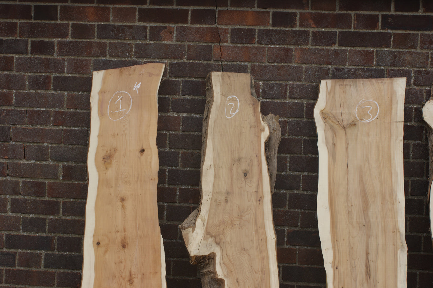 2 meter+-  31-46mm thick English Yew    (787-791)