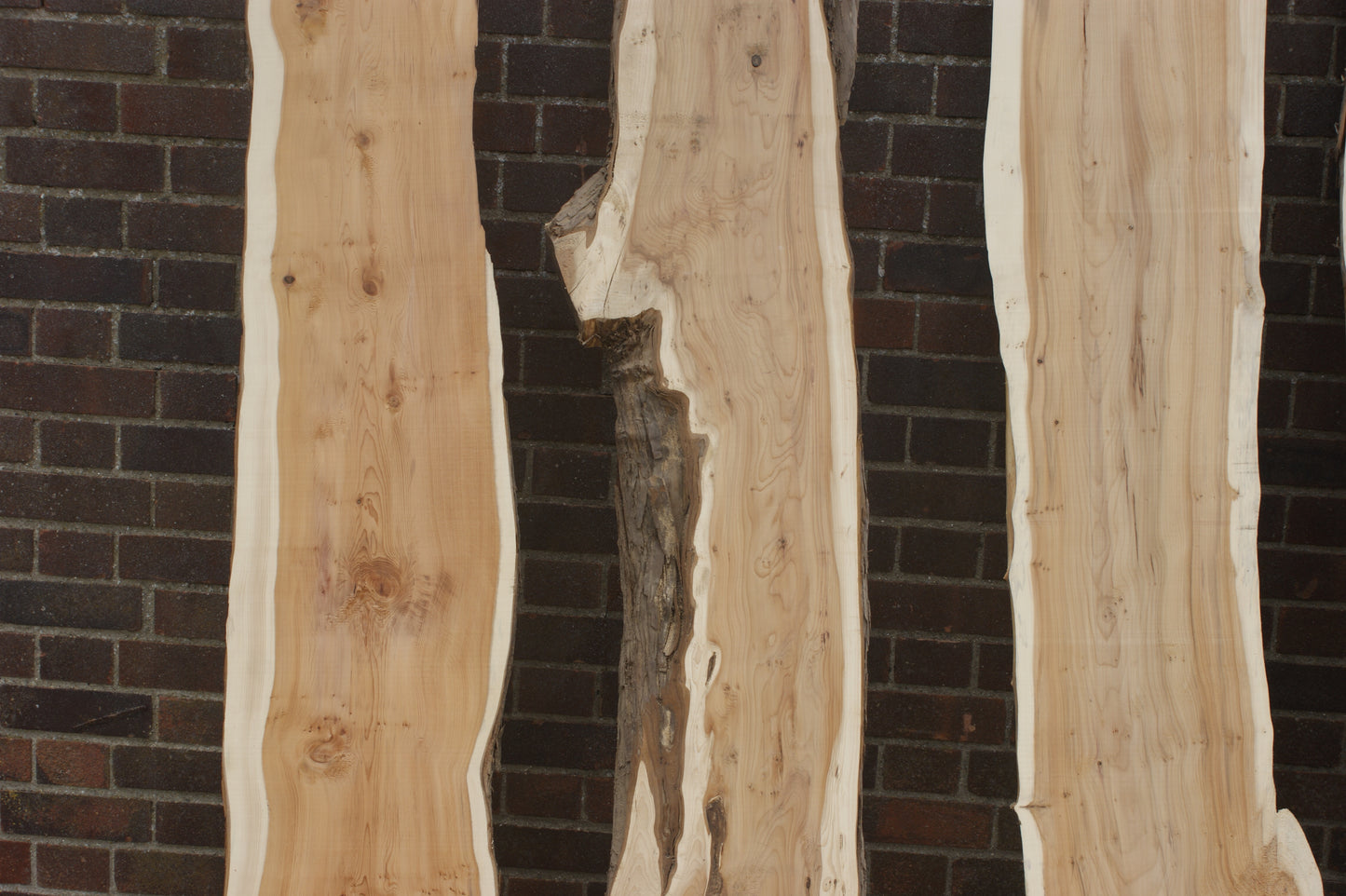 2 meter+-  31-46mm thick English Yew    (787-791)