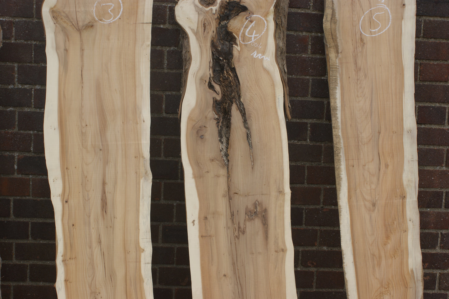 2 meter+-  31-46mm thick English Yew    (787-791)