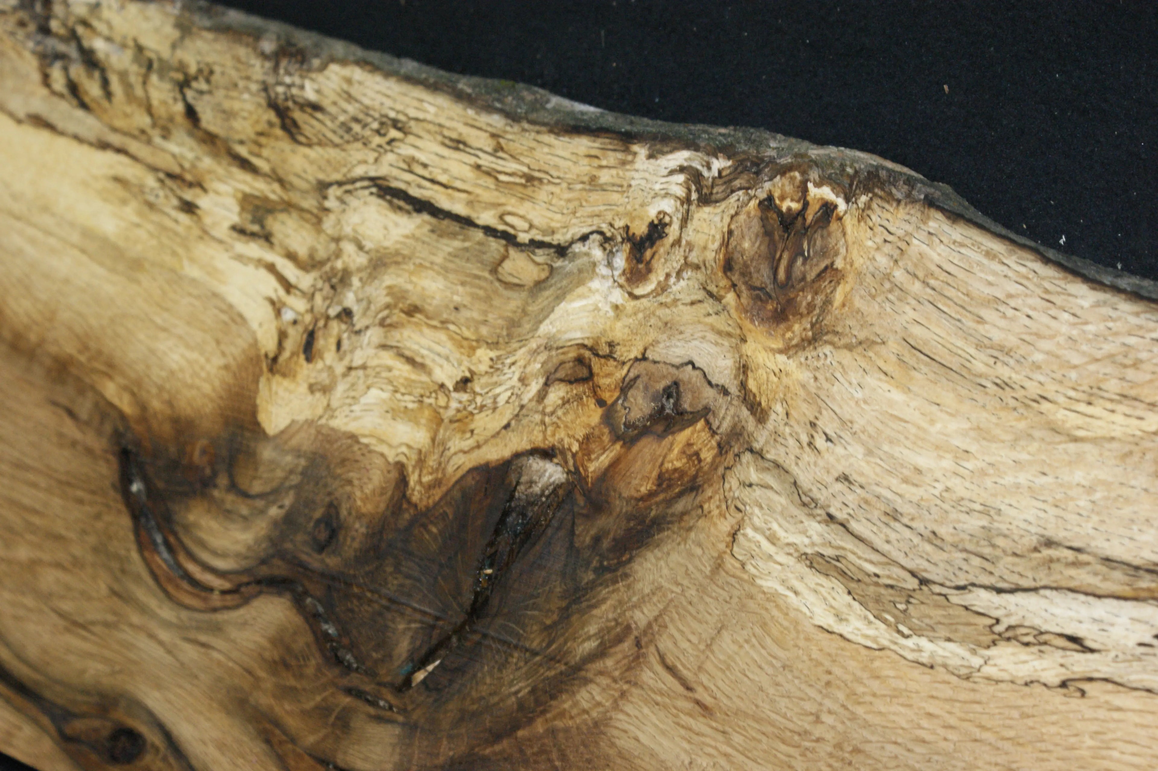 (77) SPALTED TURKEY OAK, 1032 L x 315 W x 45 D mm, RUSTIC HARDWOOD, CRAFTS, SHELVING Oak & Burr Oak