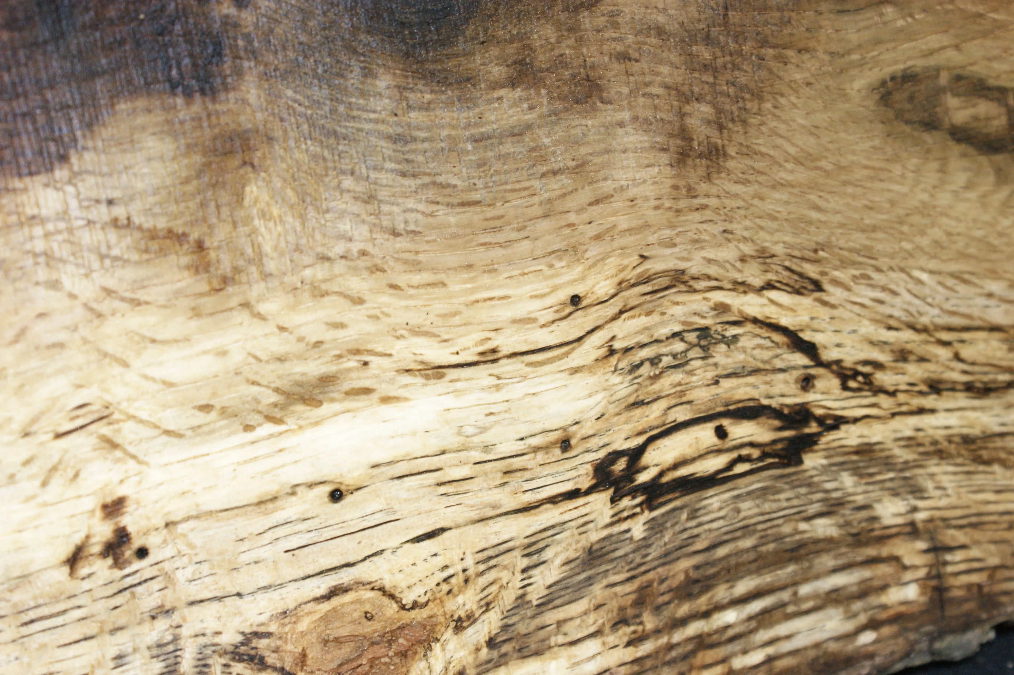 (77) SPALTED TURKEY OAK, 1032 L x 315 W x 45 D mm, RUSTIC HARDWOOD, CRAFTS, SHELVING Oak & Burr Oak