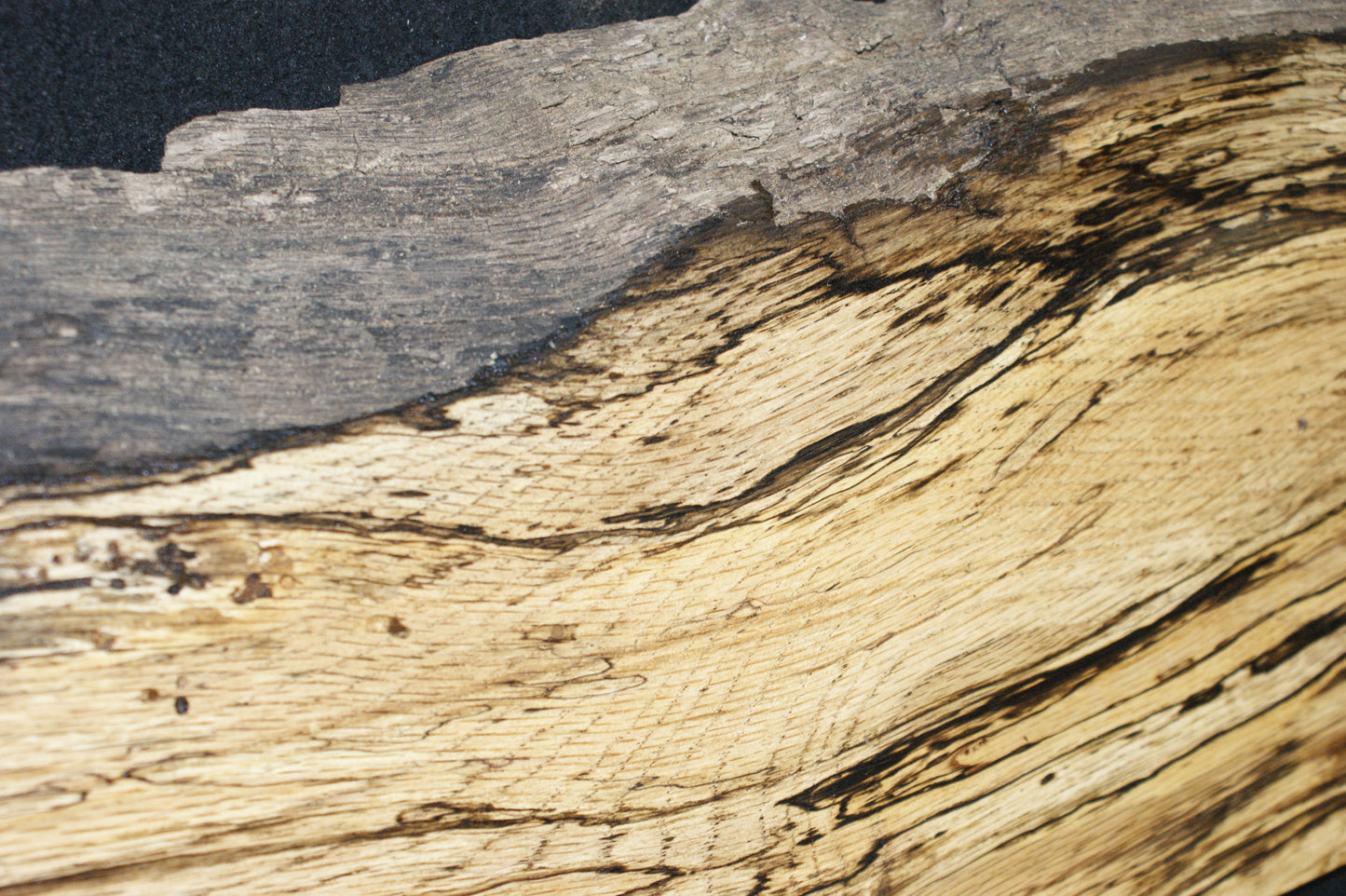 (78) SPALTED TURKEY OAK, 1003 L x 235 W x 45 D mm RUSTIC HARDWOOD, CRAFTS, SHELVING