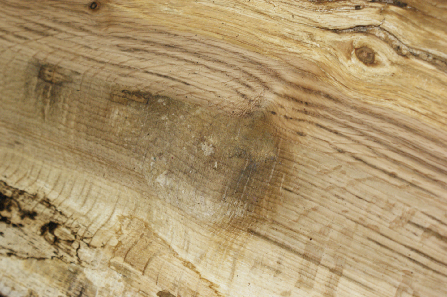 (79) SPALTED TURKEY OAK, 797 L x 328 W x 45 D mm RUSTIC HARDWOOD, CRAFTS, SHELVING