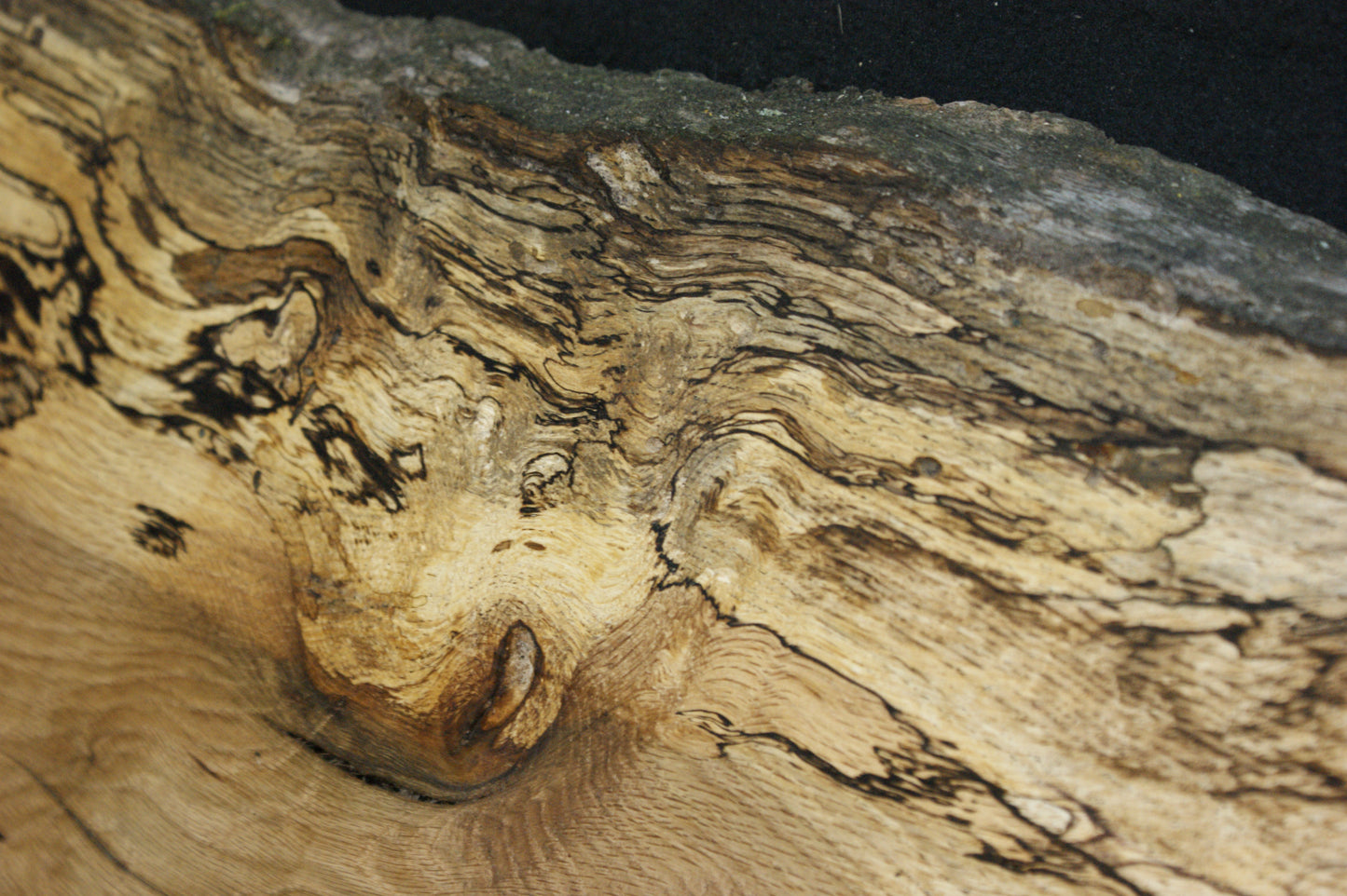 (81) SPALTED TURKEY OAK, 1000 L x 300 W x 45 D mm RUSTIC HARDWOOD, CRAFTS, SHELVING