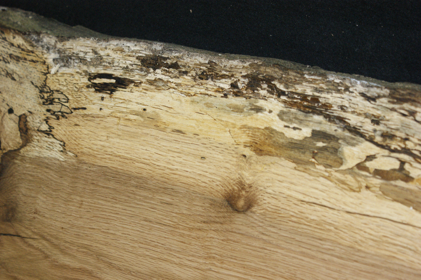 (82) SPALTED TURKEY OAK, 1010 L x 297 W x 45 D mm RUSTIC HARDWOOD, CRAFTS, SHELVING