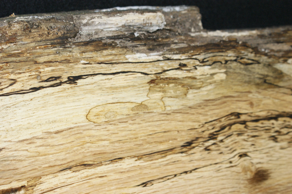 (83) SPALTED TURKEY OAK, 780 L x 310 W x 45 D mm RUSTIC HARDWOOD, CRAFTS, SHELVING Oak & Burr Oak