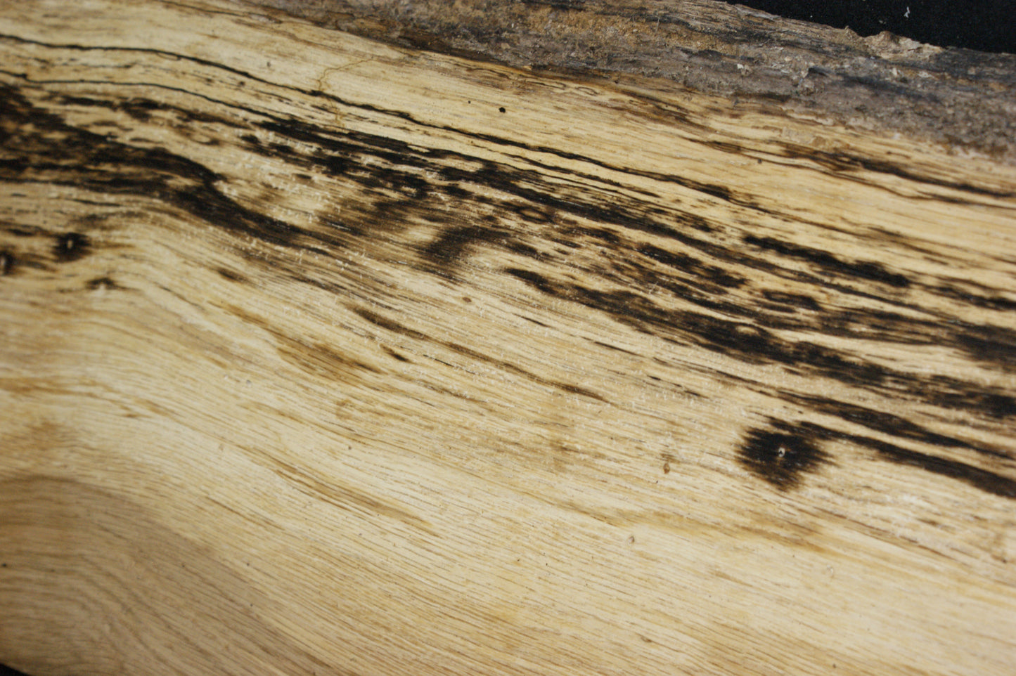 (86) SPALTED TURKEY OAK, 1000 L x 305 W x 45 D mm RUSTIC HARDWOOD, CRAFTS, SHELVING