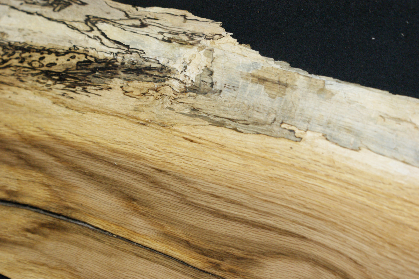 (89) SPALTED TURKEY OAK, 755 L x 255 W x 45 D mm RUSTIC HARDWOOD, CRAFTS, SHELVING