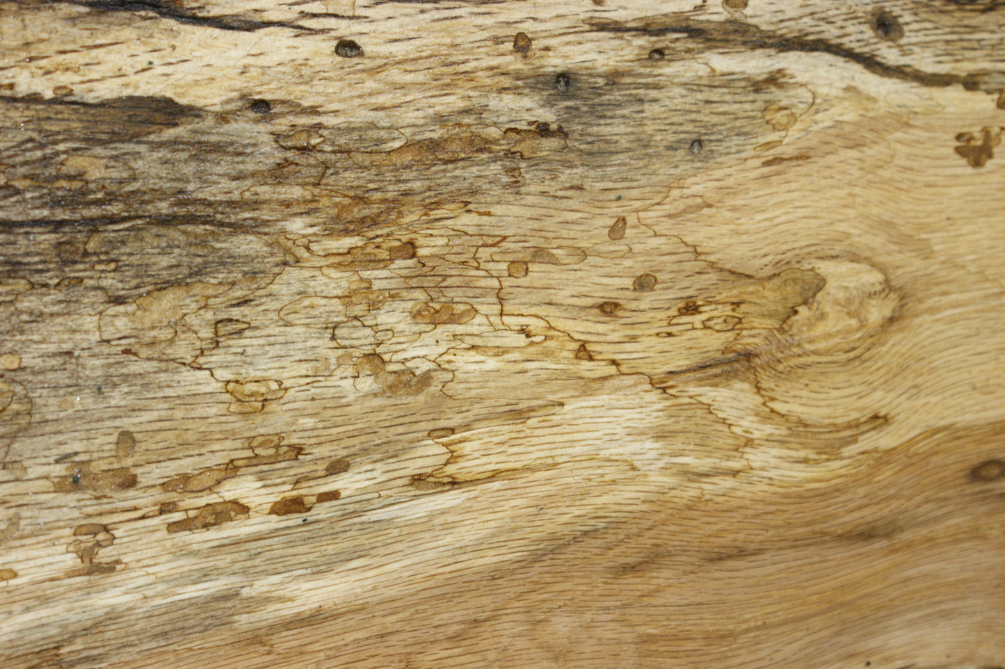 (96) SPALTED TURKEY OAK, 870 L x 290 W x 45 D mm RUSTIC HARDWOOD, CRAFTS, SHELVING