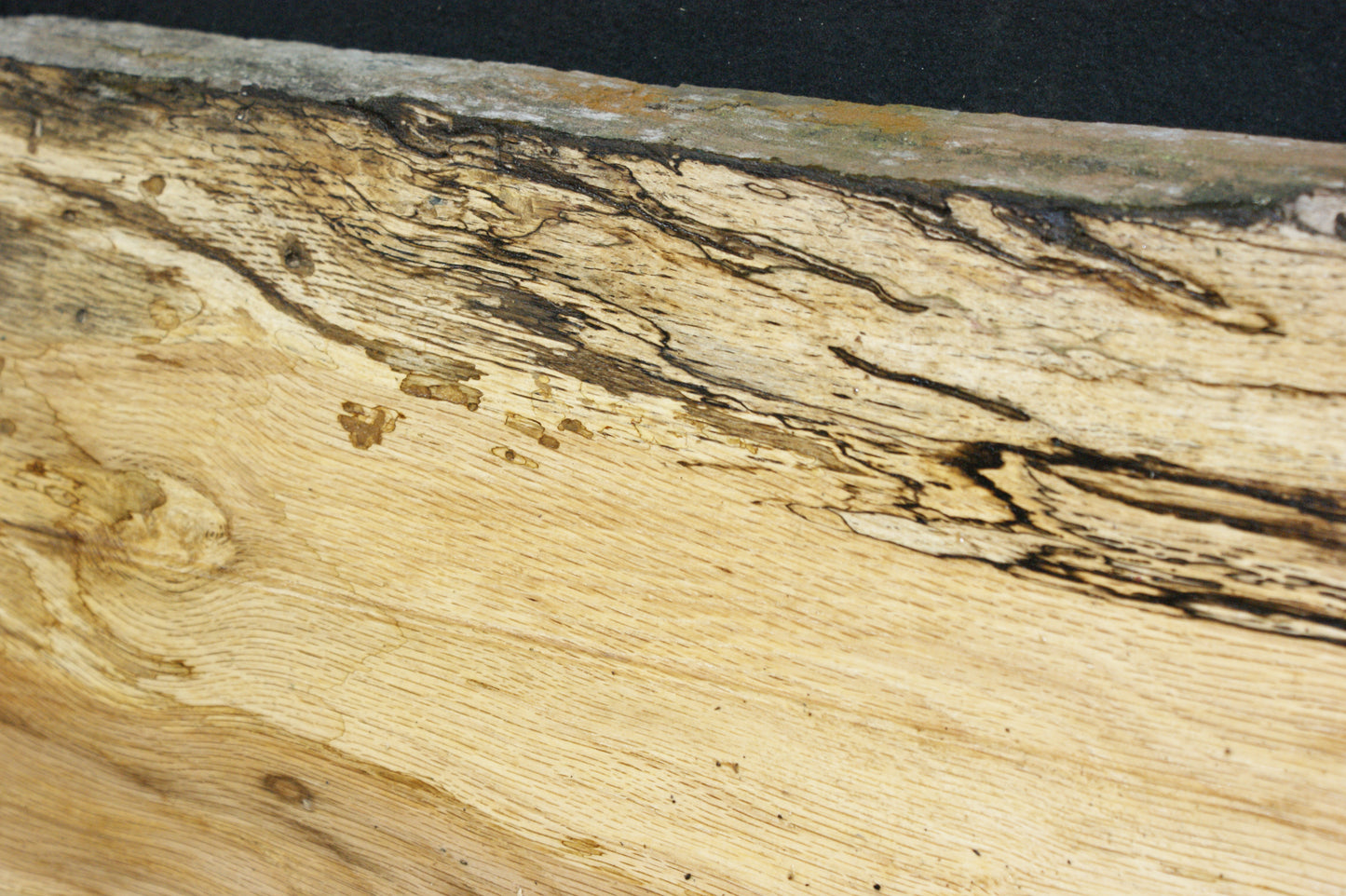 (96) SPALTED TURKEY OAK, 870 L x 290 W x 45 D mm RUSTIC HARDWOOD, CRAFTS, SHELVING