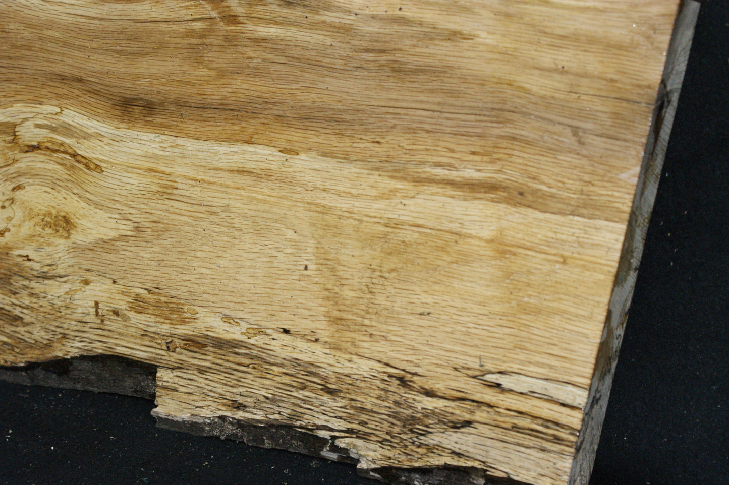 (97) SPALTED TURKEY OAK, 590 L x 275 W x 45 D mm RUSTIC HARDWOOD, CRAFTS, SHELVING