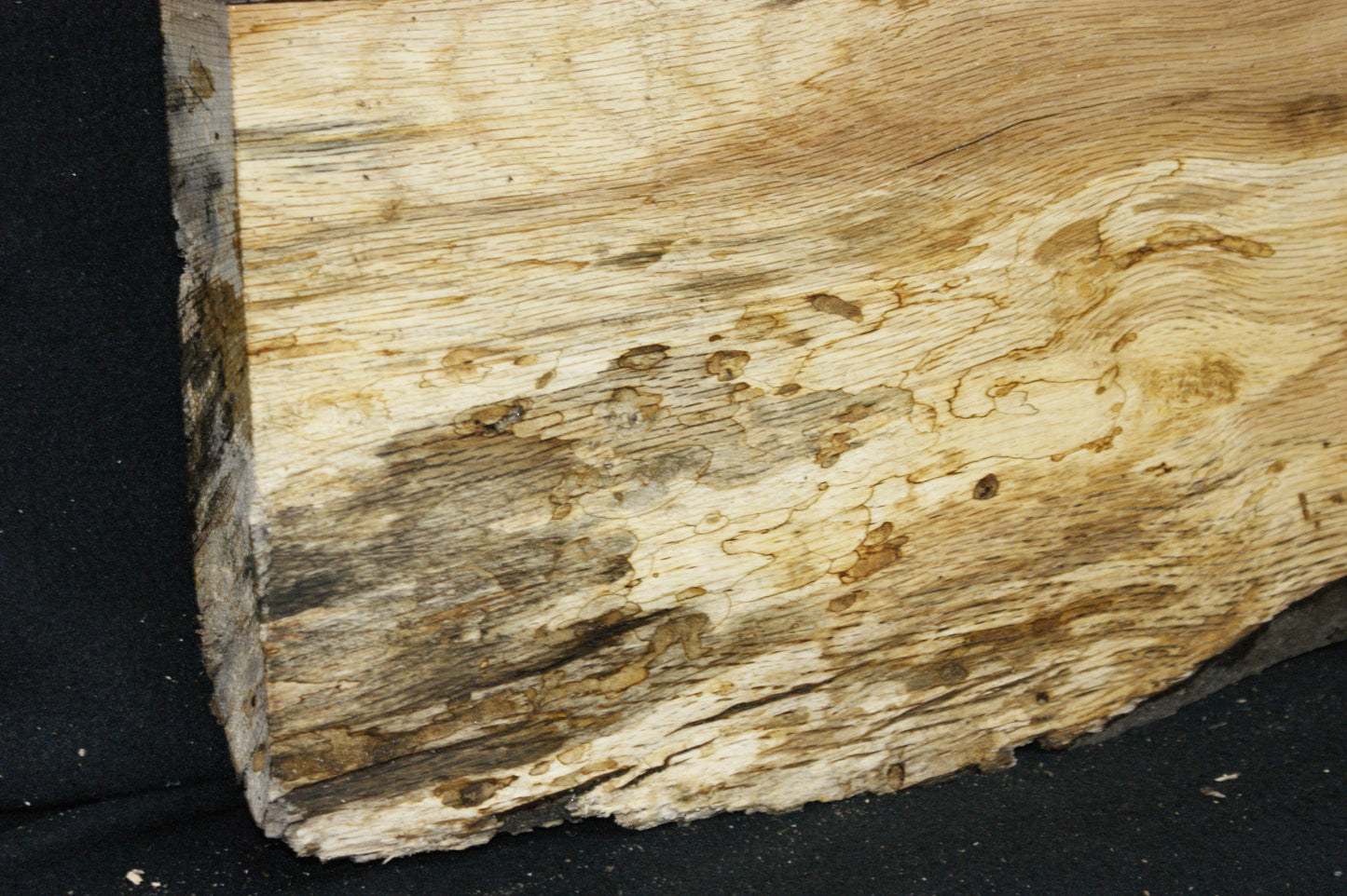 (97) SPALTED TURKEY OAK, 590 L x 275 W x 45 D mm RUSTIC HARDWOOD, CRAFTS, SHELVING