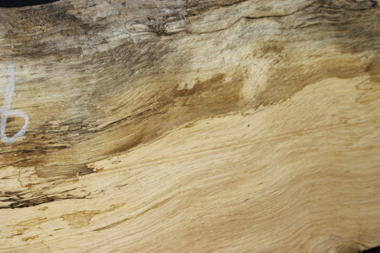 (98) SPALTED TURKEY OAK, 686 L x 265 W x 45 D mm RUSTIC HARDWOOD, CRAFTS, SHELVING