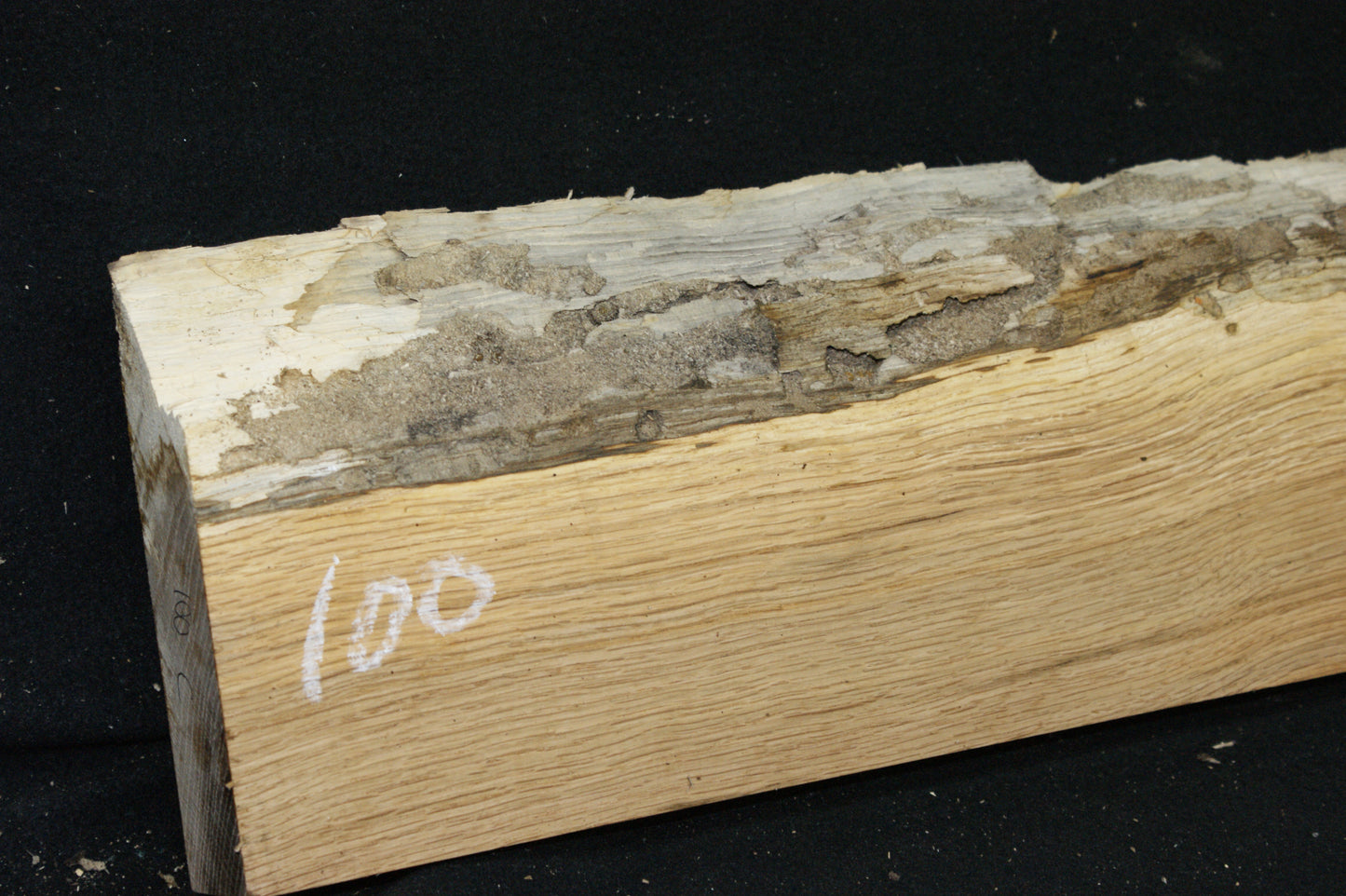 (100) SPALTED TURKEY OAK, 730 L x 187 W x 45 D mm RUSTIC HARDWOOD, CRAFTS, SHELVING