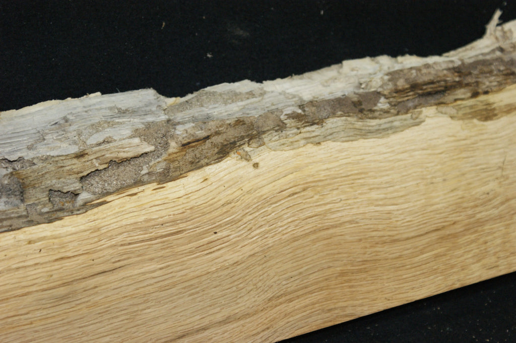 (100) SPALTED TURKEY OAK, 730 L x 187 W x 45 D mm RUSTIC HARDWOOD, CRAFTS, SHELVING oak & burr oak