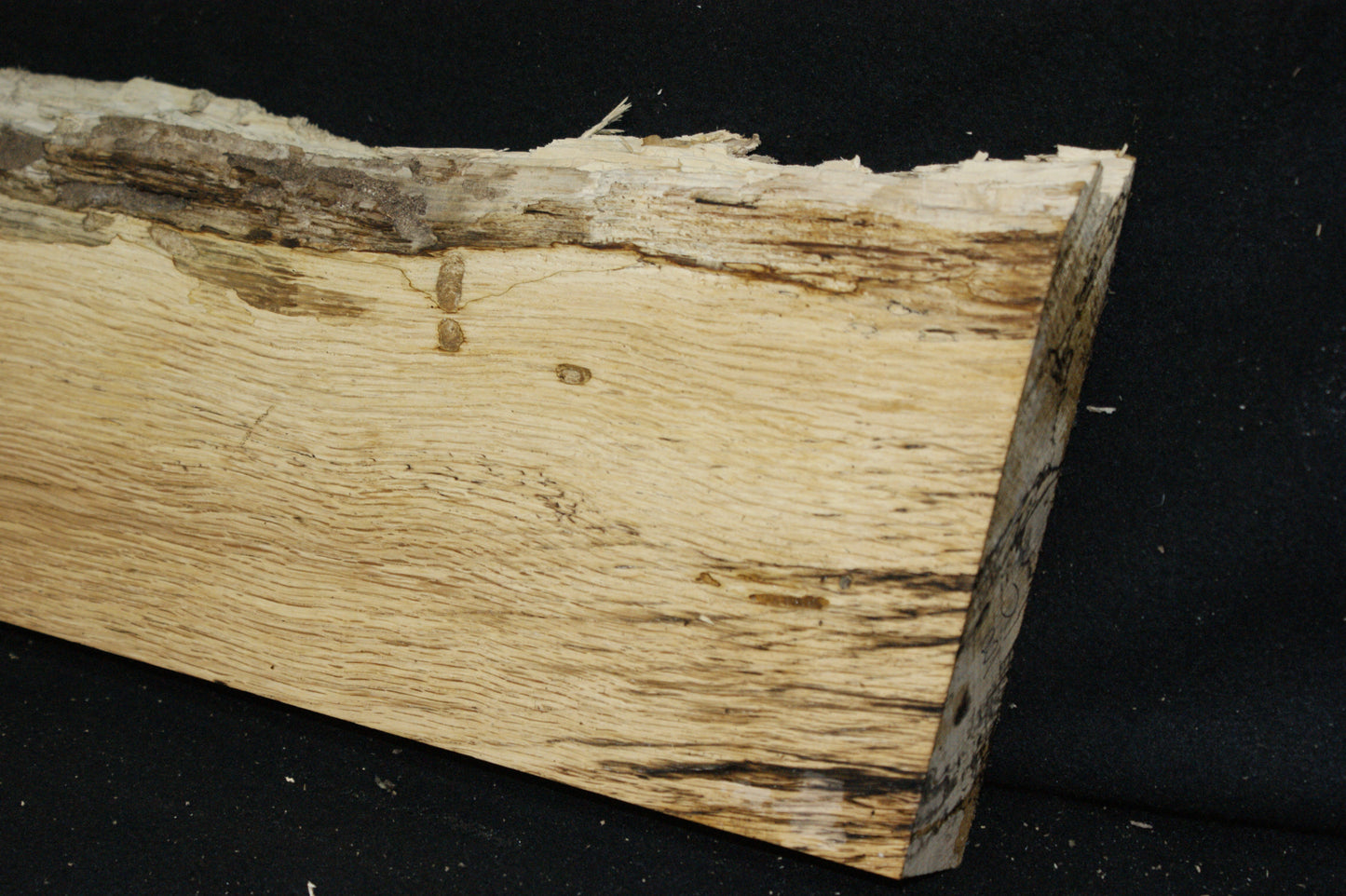 (100) SPALTED TURKEY OAK, 730 L x 187 W x 45 D mm RUSTIC HARDWOOD, CRAFTS, SHELVING