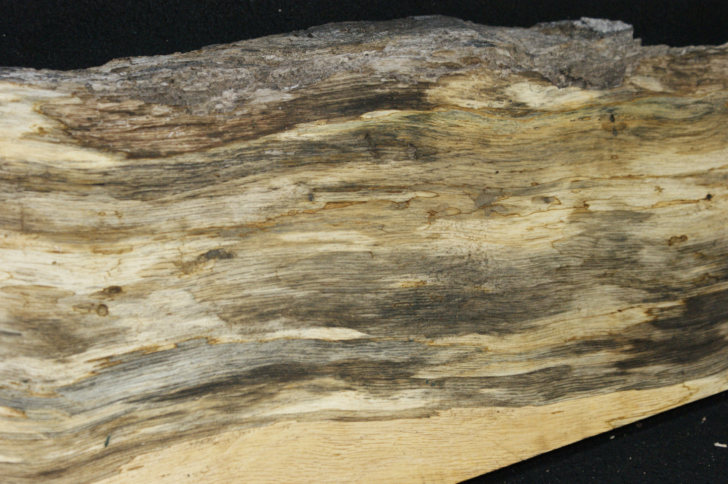 (101) SPALTED TURKEY OAK, 996 L x 275 W x 45 D mm RUSTIC HARDWOOD, CRAFTS, SHELVING