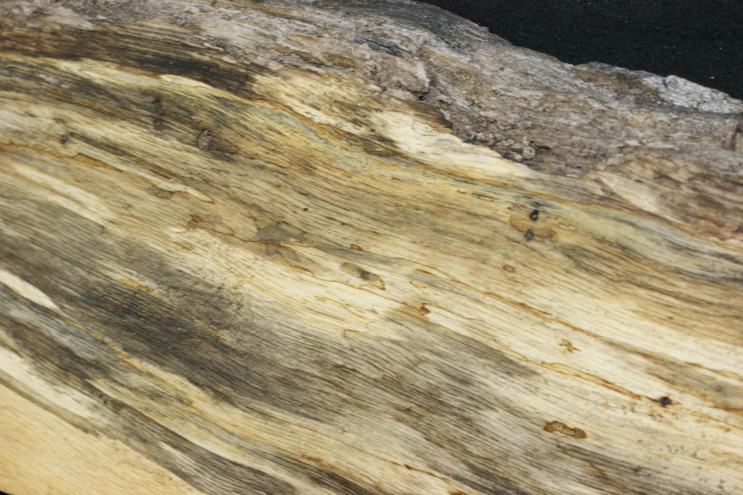 (101) SPALTED TURKEY OAK, 996 L x 275 W x 45 D mm RUSTIC HARDWOOD, CRAFTS, SHELVING