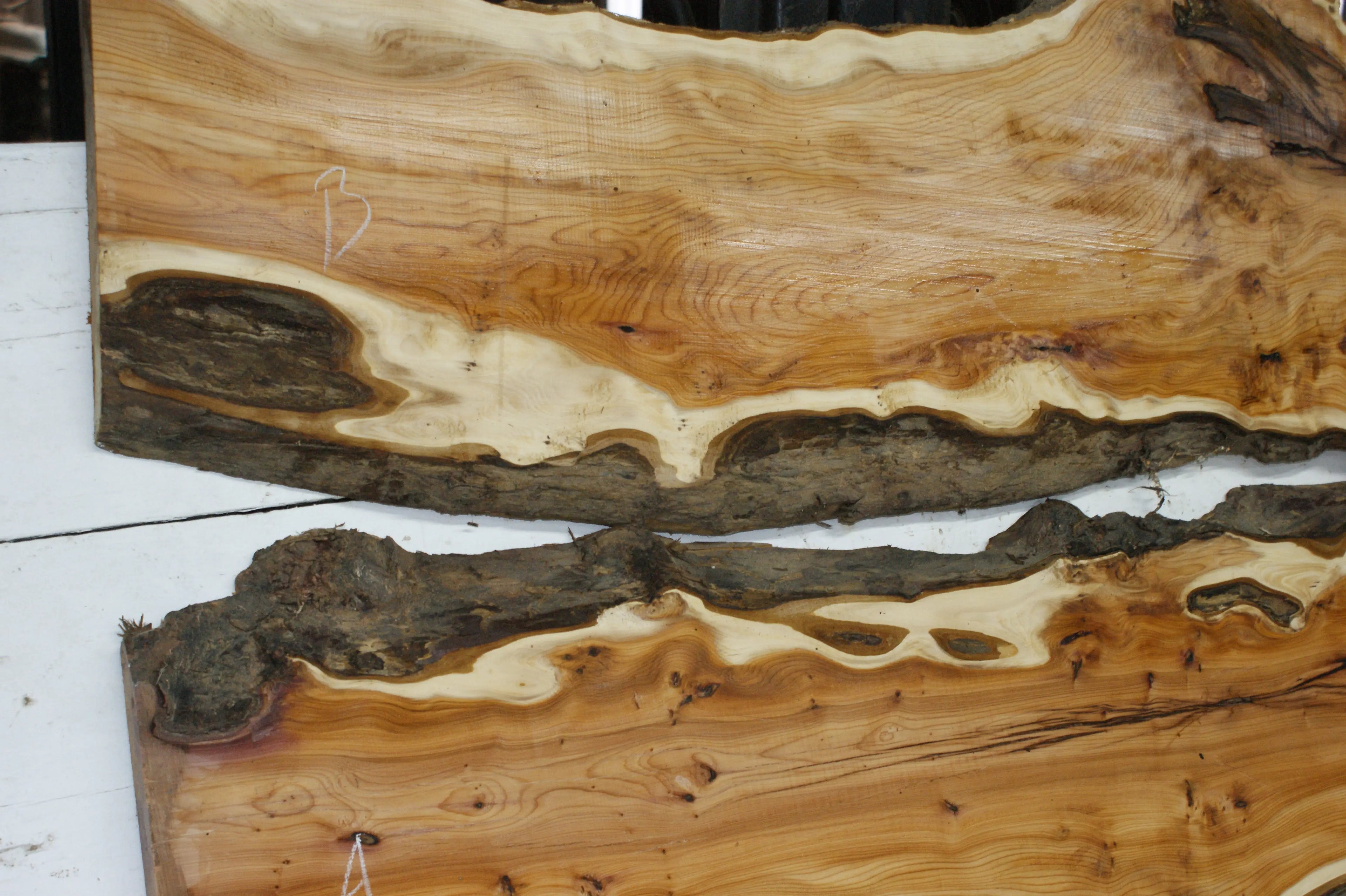 English Yew Resin Table Set 1278 L x 808 W x 26 D (mm)      (836) Yew