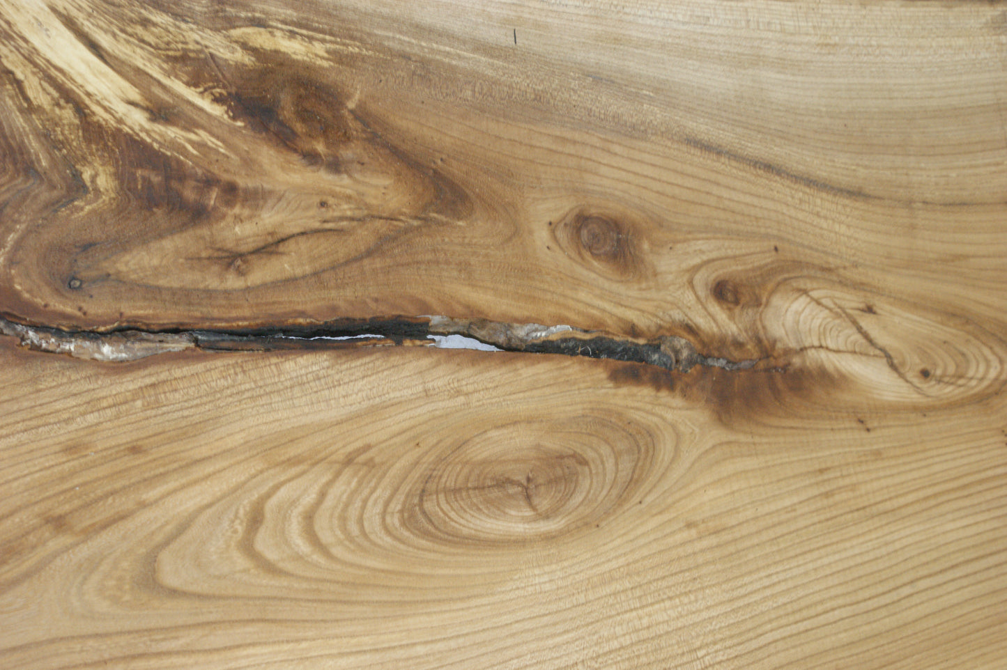 Elm, hard wood plank, slab, 1092 L x 545 W x 22 D mm    (843)