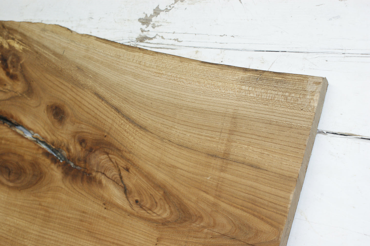 Elm, hard wood plank, slab, 1092 L x 545 W x 22 D mm    (843)