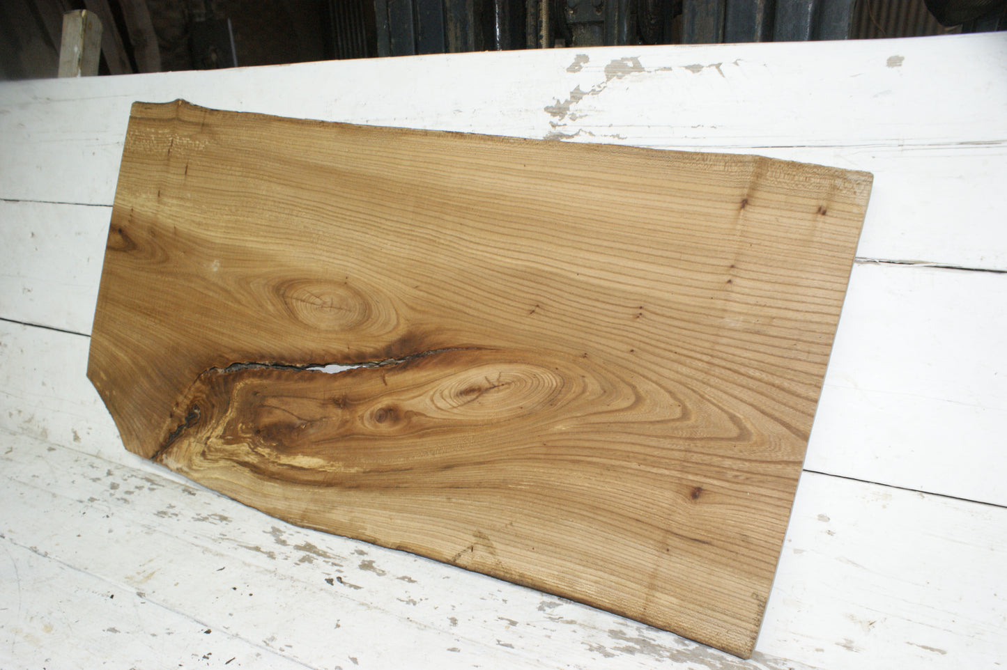 Elm, hard wood plank, slab, 1092 L x 545 W x 22 D mm    (843)