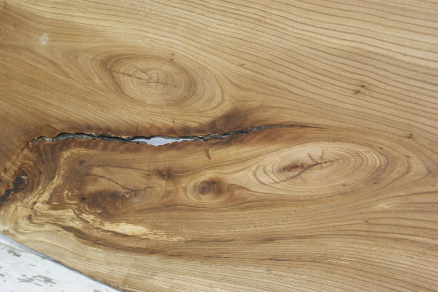 Elm, hard wood plank, slab, 1092 L x 545 W x 22 D mm    (843)