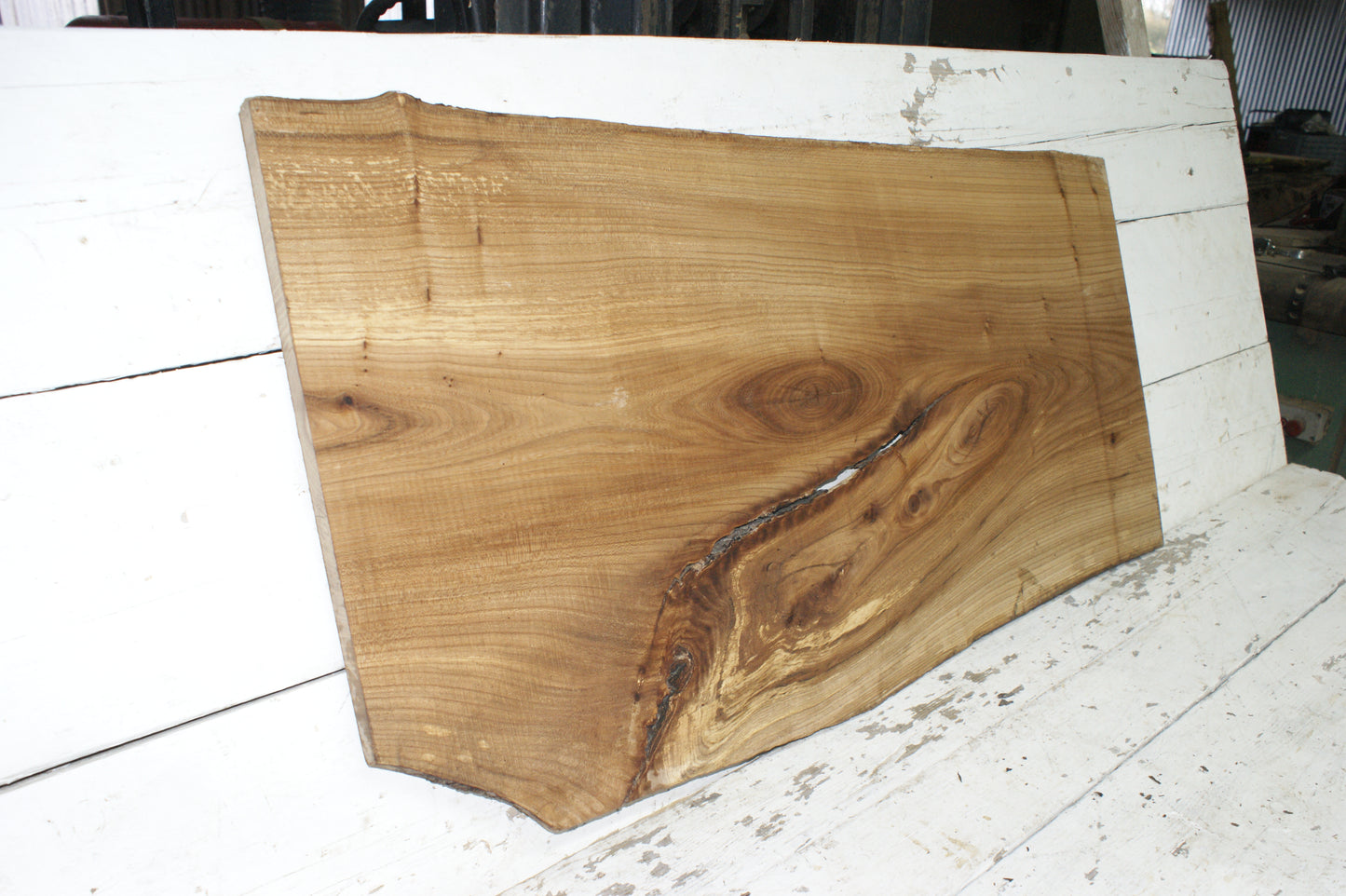 Elm, hard wood plank, slab, 1092 L x 545 W x 22 D mm    (843)