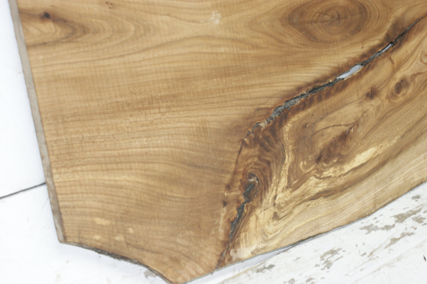 Elm, hard wood plank, slab, 1092 L x 545 W x 22 D mm    (843)