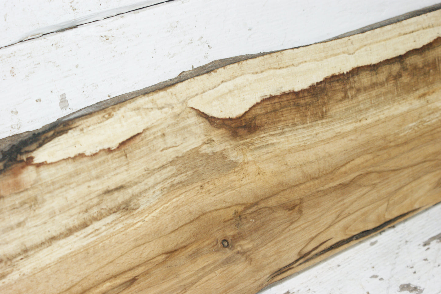 Spalted Beech 1130 L x 221 W x 37 D (mm)    (849)