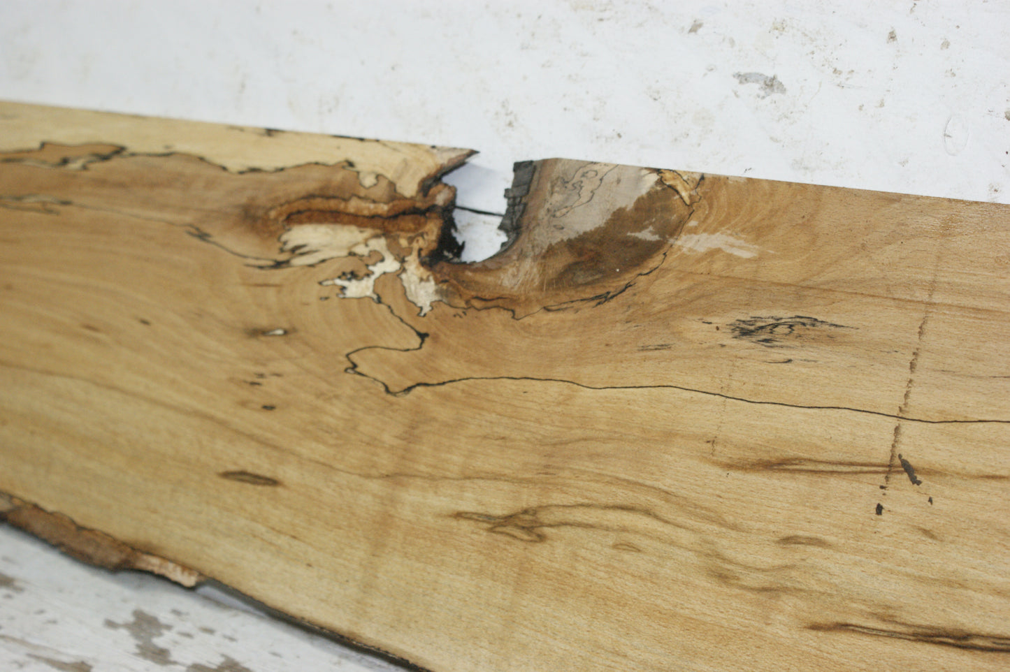 Spalted beech tone wood, craft wood 1177 L x 260 W x 15 D (mm)    (929)