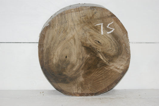 Walnut 13 x 4 inch A Grade wood turning blank.    (075)