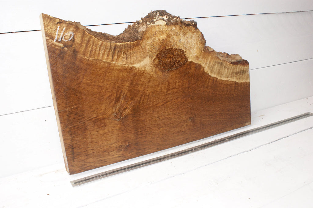 Burr Brown Oak 703 L x 449 - 270 W  x 51 D mm            (110) Oak & Burr Oak