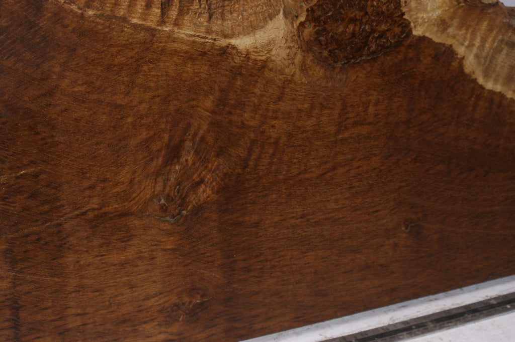 Burr Brown Oak 703 L x 449 - 270 W  x 51 D mm            (110) Oak & Burr Oak