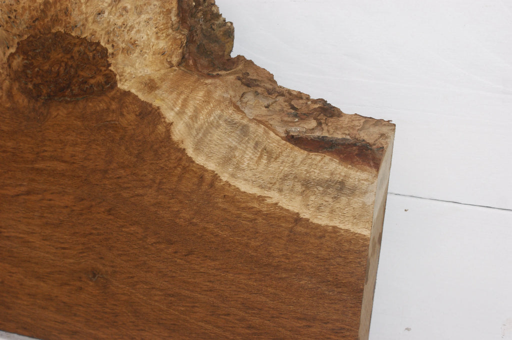 Burr Brown Oak 703 L x 449 - 270 W  x 51 D mm            (110) Oak & Burr Oak