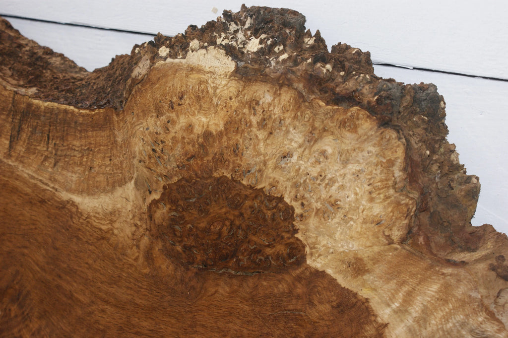 Burr Brown Oak 703 L x 449 - 270 W  x 51 D mm            (110) Oak & Burr Oak