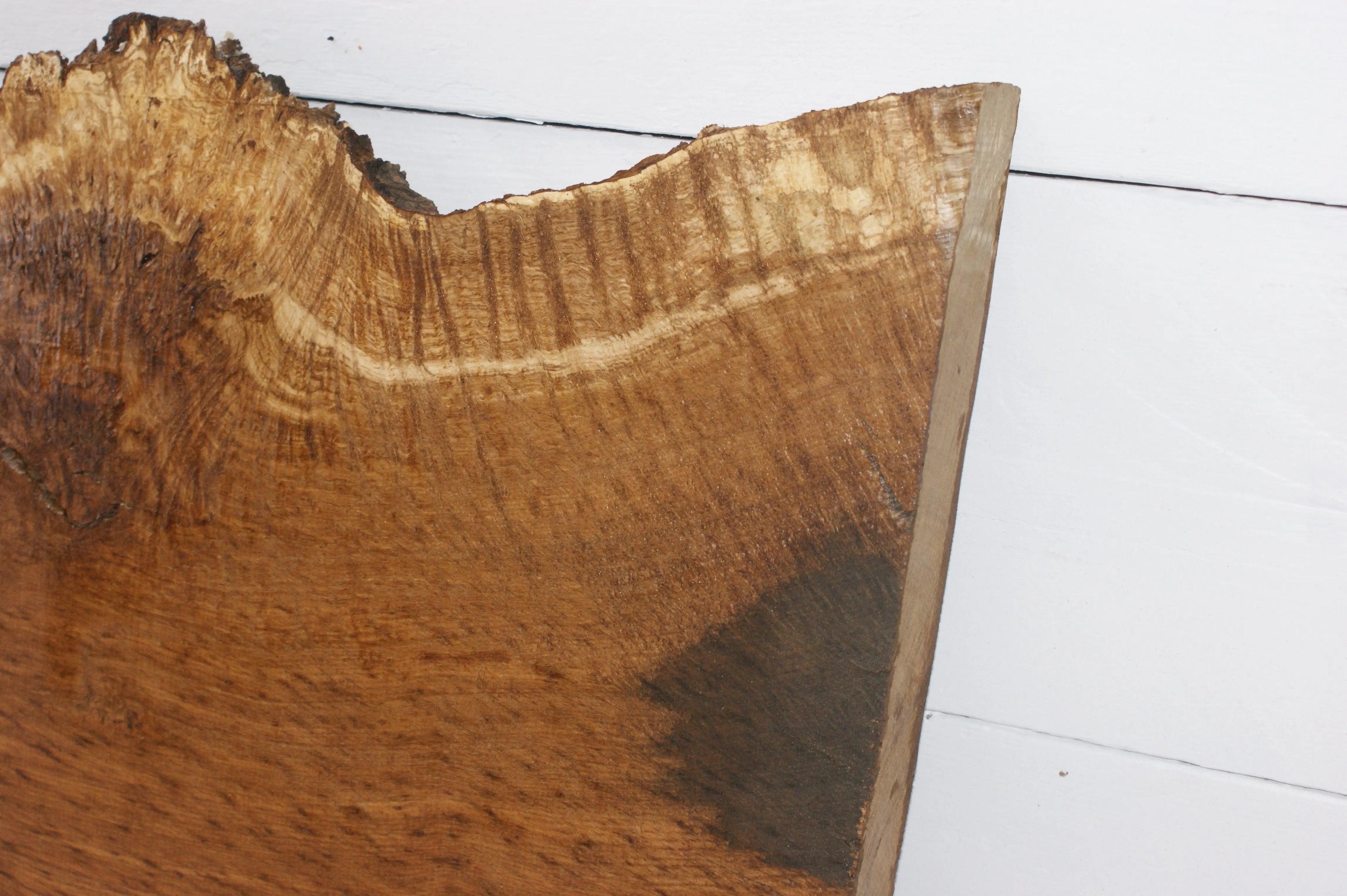 Burr Brown Oak 703 L x 449 - 270 W  x 51 D mm            (110) Oak & Burr Oak