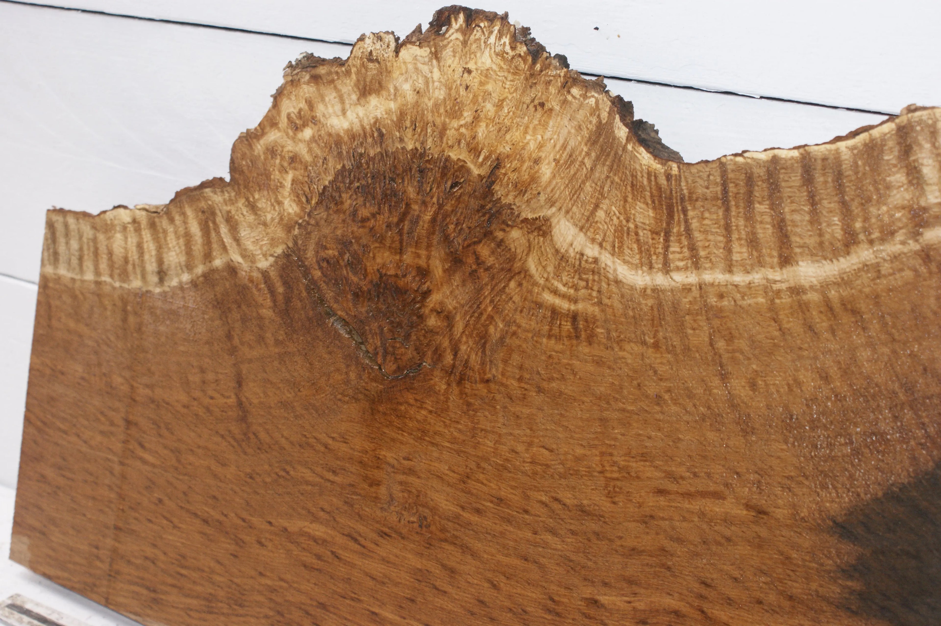Burr Brown Oak 703 L x 449 - 270 W  x 51 D mm            (110) Oak & Burr Oak