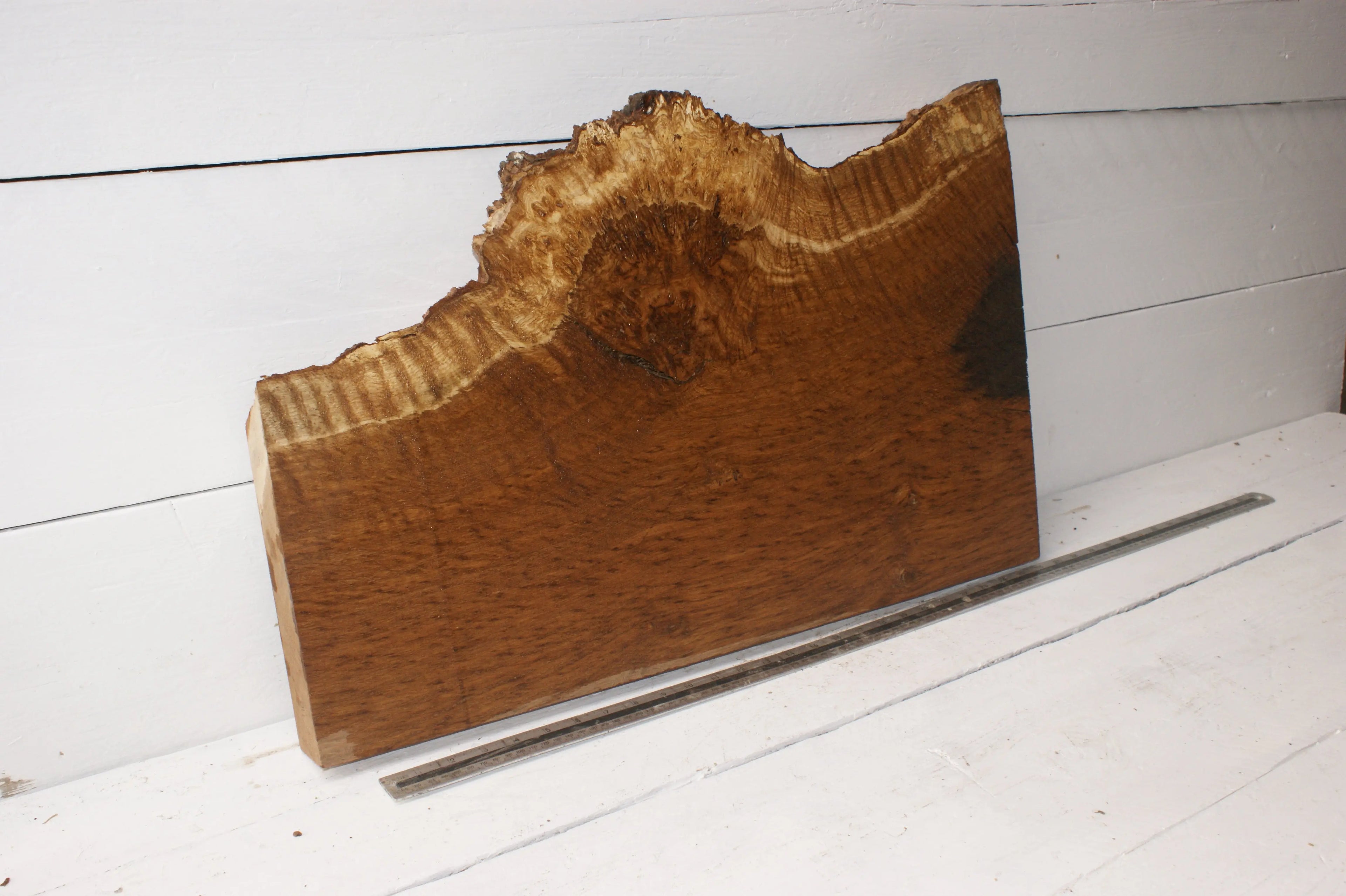 Burr Brown Oak 703 L x 449 - 270 W  x 51 D mm            (110) Oak & Burr Oak