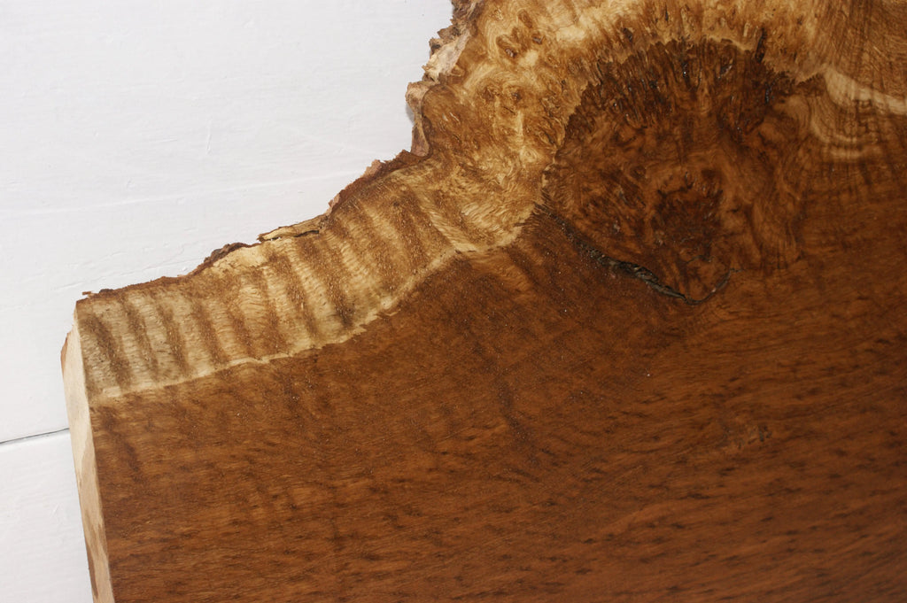 Burr Brown Oak 703 L x 449 - 270 W  x 51 D mm            (110) Oak & Burr Oak
