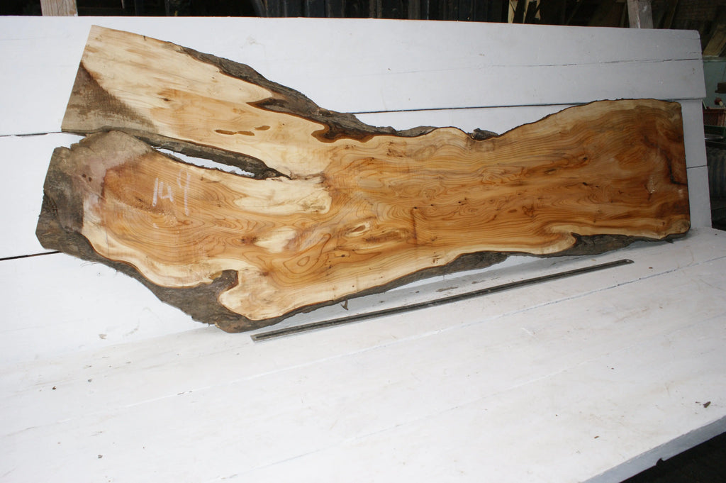 English Yew  1650 L x 555-290 W x 37 D (mm)    (149) Yew