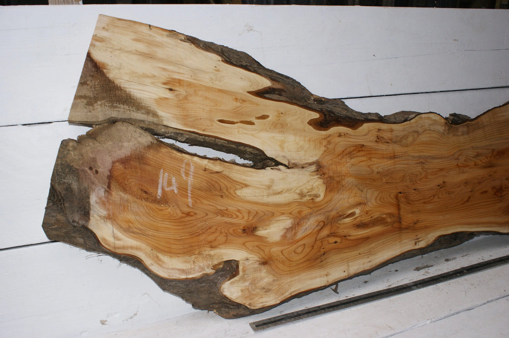 English Yew  1650 L x 555-290 W x 37 D (mm)    (149) Yew