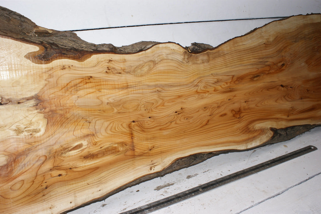 English Yew  1650 L x 555-290 W x 37 D (mm)    (149) Yew